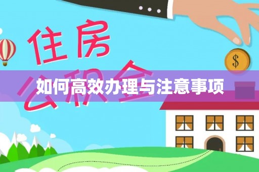 中站如何高效办理与注意事项