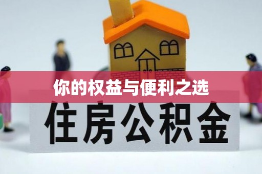中站你的权益与便利之选