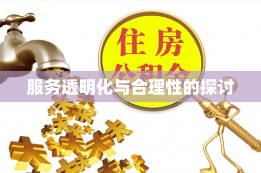 中站服务透明化与合理性的探讨