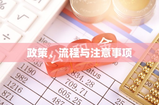中站政策、流程与注意事项