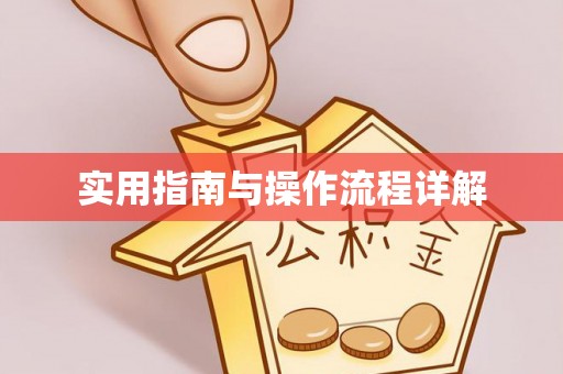 中站实用指南与操作流程详解