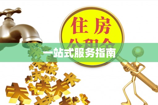 中站一站式服务指南