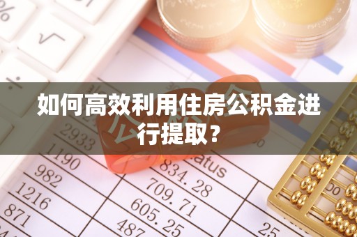 中站如何高效利用住房公积金进行提取？