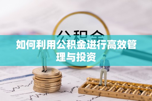 中站如何利用公积金进行高效管理与投资
