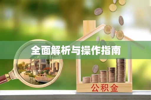 中站全面解析与操作指南