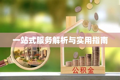 中站一站式服务解析与实用指南