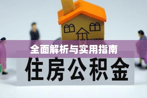 中站全面解析与实用指南