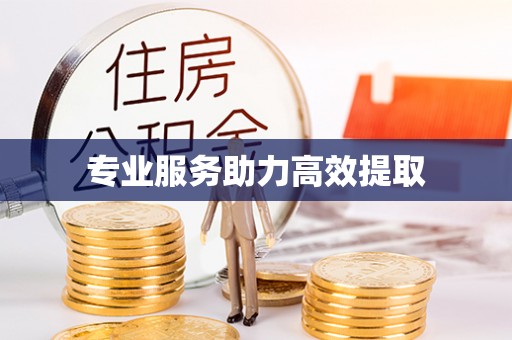 中站专业服务助力高效提取