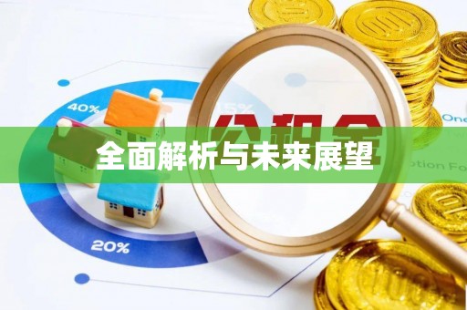 中站全面解析与未来展望